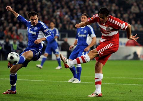 展现了他们 展现了他们